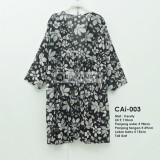 CAi-003 Outer Ceruti / Cerutty motif
